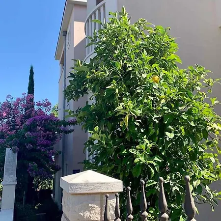 Appartamento In Podstire - Insel Brac 42460 *